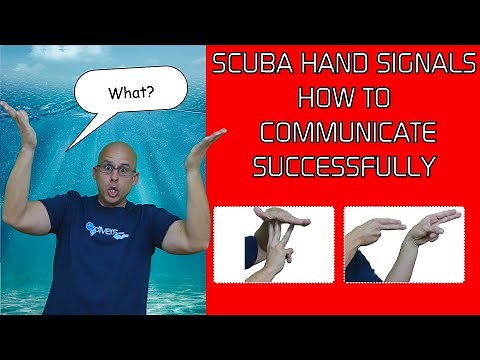 SCUBA Diving Hand Signals Every Diver Should know