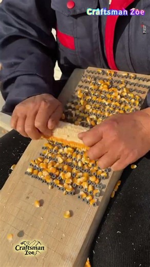 DIY Corn Sheller with Screws and Wood! Fast, Simple & Surprisingly Effective!
