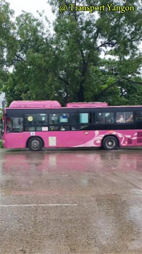 YBS 59 & 25 Amazing Going - Yangon Bus Service