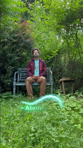 Wann hat dein Nervensystem zuletzt Pause gemacht? #nervensystem #breathwork #atemtechnik