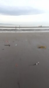 Toding Mosquera on Reels | Facebook