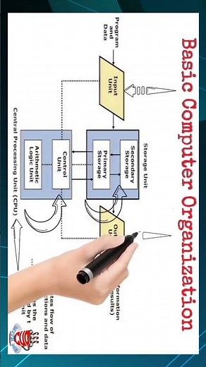 BASIC COMPUTER ORGANISATION 🖥️ #computer #computertech #technology #organisation