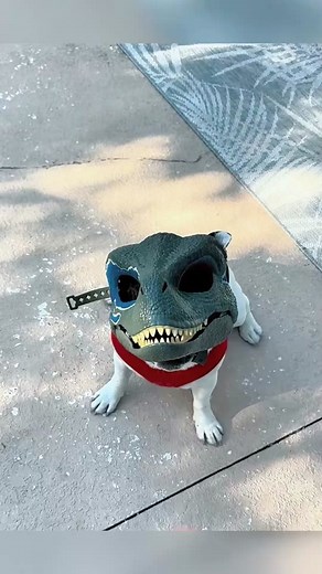 Dinosaur Dog Transformation: Funny TikTok Pets Video