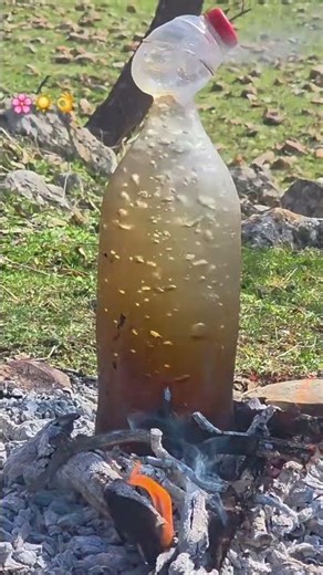 Homemade water purifier