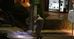 Η εκτέλεση των χρυσαυγιτών Φουντούλη και Καπελώνη, τα σενάρια της Αντιτρομοκρατικής και η Greek Mafia