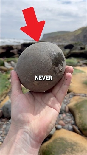 This Rock Could Be Hiding a Fossil Millions of Years Old😳 @YorkshireFossils