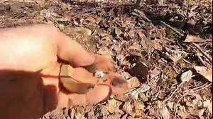 Metal detecting at an old home site and near a very cool, but somewhat spooky rock-lined well, is on tap for tonight. | Aquachigger