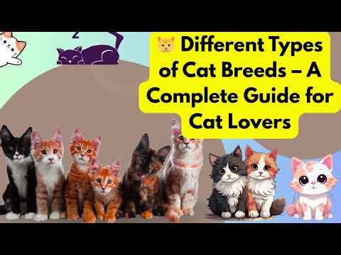 Cat Breeds with Names and Pictures – Top 10 Most Popular Cats
