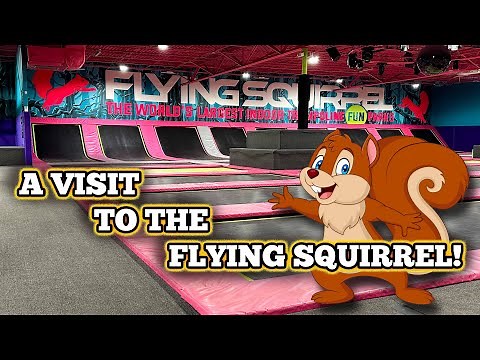 Explore The High-flying Fun At Tampa's Flying Squirrel Trampoline Park!