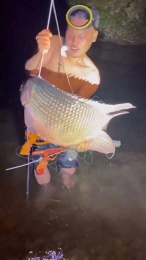 HASIL NYELAM DI MALAM HARI#senar pagat