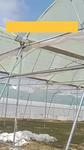 Protected cultivation has turned floriculture into one of the most profitable agri-ventures in India. Here’s how you can start your journey : 1. Have strong determination to work with soil, visit existing farms to learn, and keep open mind for continuous learning from experienced growers. 2. Choose 2-5 acres minimum with good water availability, fertile soil, proper road connectivity, and climate suitable for flower cultivation. 3. Secure your financing through 50-70% government subsidies on pol