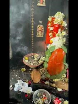 Day 60/100.mini vlogs.nashiks most expensive house 5 cr. #lifeisbutadream #vlog