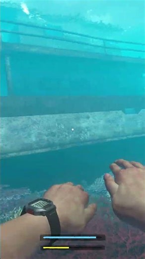 Lost Player. Stranded Deep. looting Of Shipwrecks