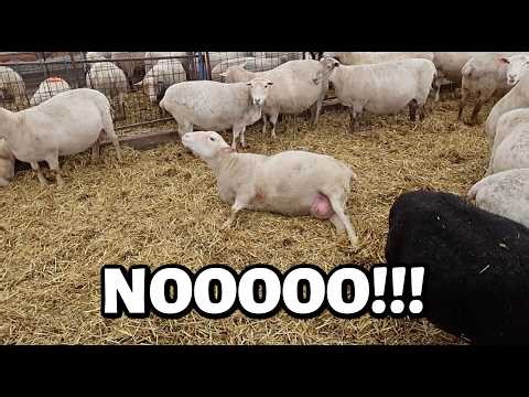 SHE'S TOO EARLY FOR BABIES!!! 😩