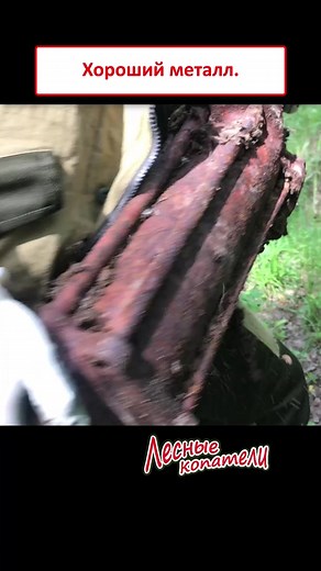 Металлолом #металлоискатель #лесныекопатели #forestdiggers