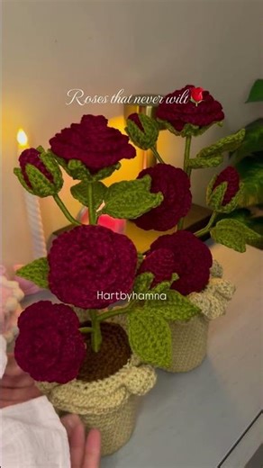 Crochet rose vases✨