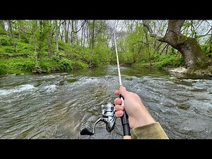 Wild TROUT Fishing with Inline Spinners (creek fishing)