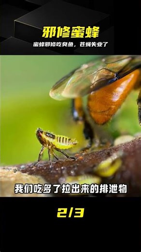 Bees are actually heretical practitioners! They use rotten fish to make "nectar," ruining the liv...