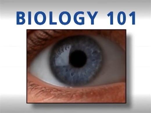 Biology 101 - Introduction