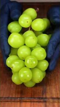 🤣 "ASMR but make it comedy 😂 … tingles + giggles guaranteed!" 🎤✨