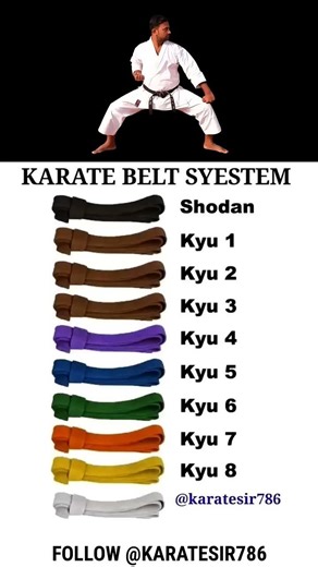 KARATE BELT SYSTEM #karate #belt system #karatesir786