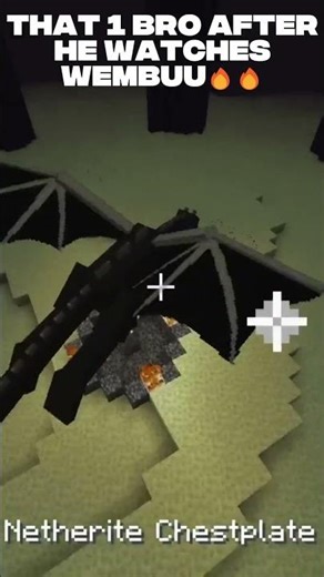 It's always that 1 bro 🙏😭 #minecraft #minecraftjava #unstableuniverse