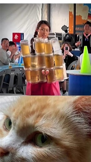 #memes #pets #funny #viral #viralvideo