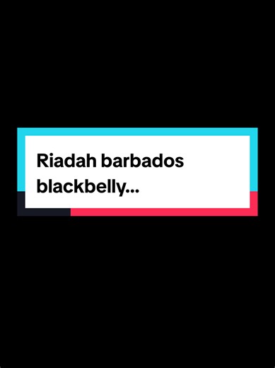 Barbados Blackbelly Sheep Breeding Insights