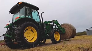 Large Scale Handling and Processing of Bison in Factories