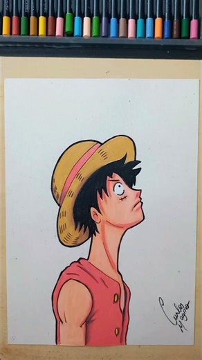 Where did Luffy get that scar?