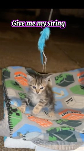 Finally caught that string#catlovers