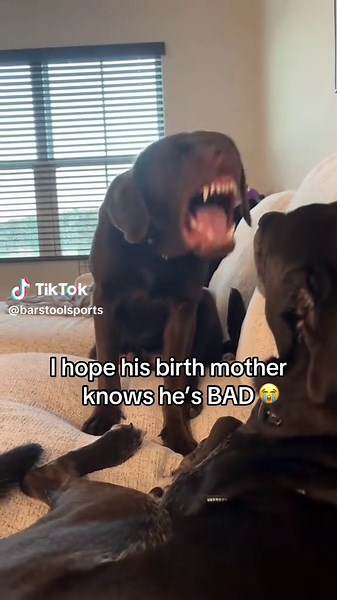 NFL Best Bets Today: Key Insights from Cass