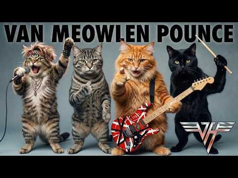 Van Meowlen - Pounce | Live at Meowsic Festival 2026 | Parody