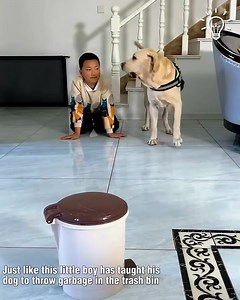 Dogs are such clever animals! | Smart Home