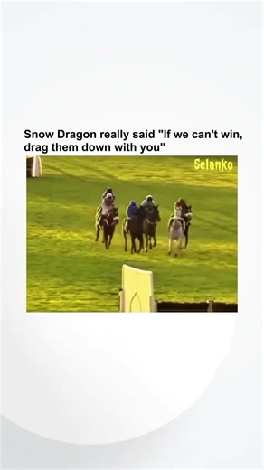Snow dragon had a statement to make #horseracing #short