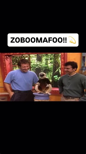 Golden Age of Comedy on Instagram: "In this classic episode, the boys decided to spin the lemur a little bit too fast and for a little bit too long. Please note, this was before OSHA and before other types of animal spinning regulations for onset purposes. after this particular episode, strict protocols were put in place across television with waivers needed to be signed by any animal, brave enough to be spun at high velocity on children’s television programs. . #zoboomafoo #tv #animals #lmao #k