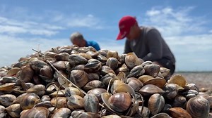 1.1K views · 23 reactions | Typhoon Gaemi's long tail. Weeks after hitting Taiwan, the storm continues to spike food prices. | TaiwanPlus News | Facebook