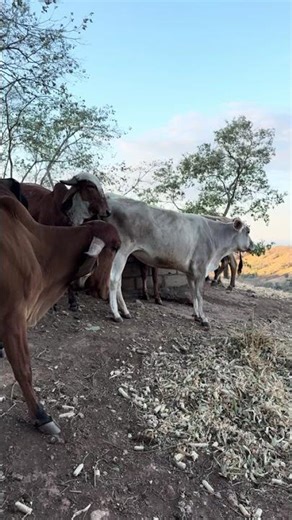 The star has already given birth