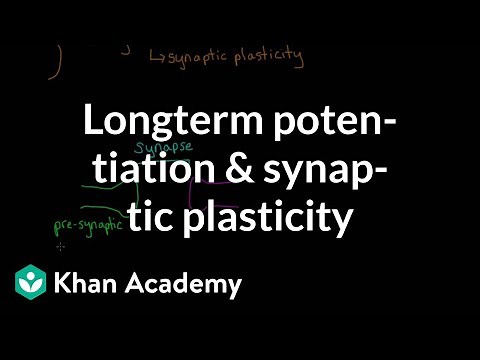 Long term potentiation and synaptic plasticity | Processing the Environment | MCAT | Khan Academy