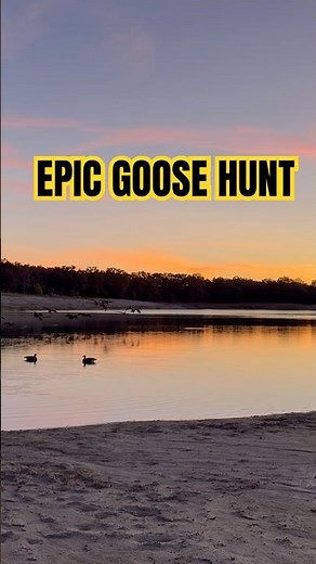 How to set a goose decoy spread! #texasoutdoorsmen #hunting #goosehunting #duckhunting