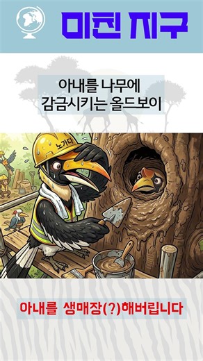 아내를 나무에 감금시키는 올드보이