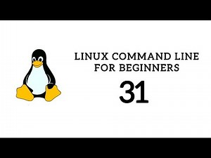 Linux Command Line For Beginners 31 - adduser command