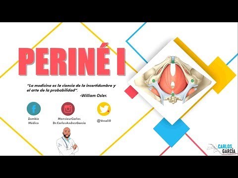 Anatomy - Perineum Pt. I (Generalities, Fascia, Layers)