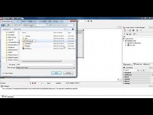 Delphi Program: Getting Started