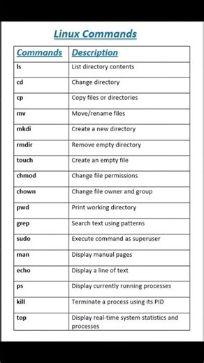 Linux Commands | Essential Linux Commands Every Beginner Should Know!