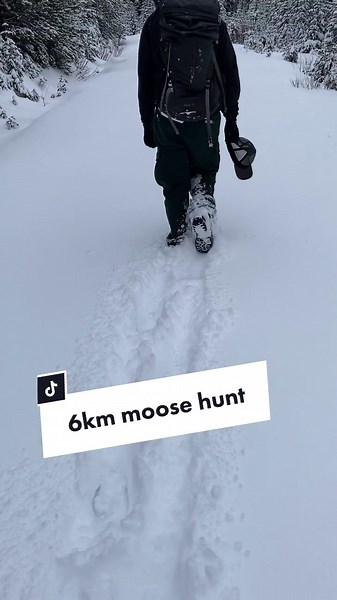 Moose Hunting Adventure in British Columbia