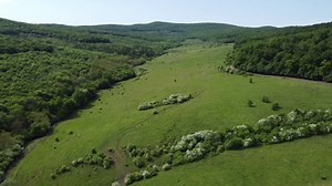 Scenery, Outdoors, Rural. Free Stock Video