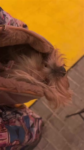 Aracely Arambula on Instagram