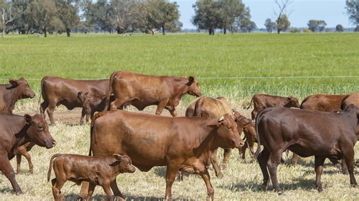 How Aussie farmland prices have changed so far this year