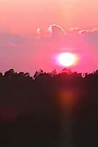 Daybreak (2020) - Movie